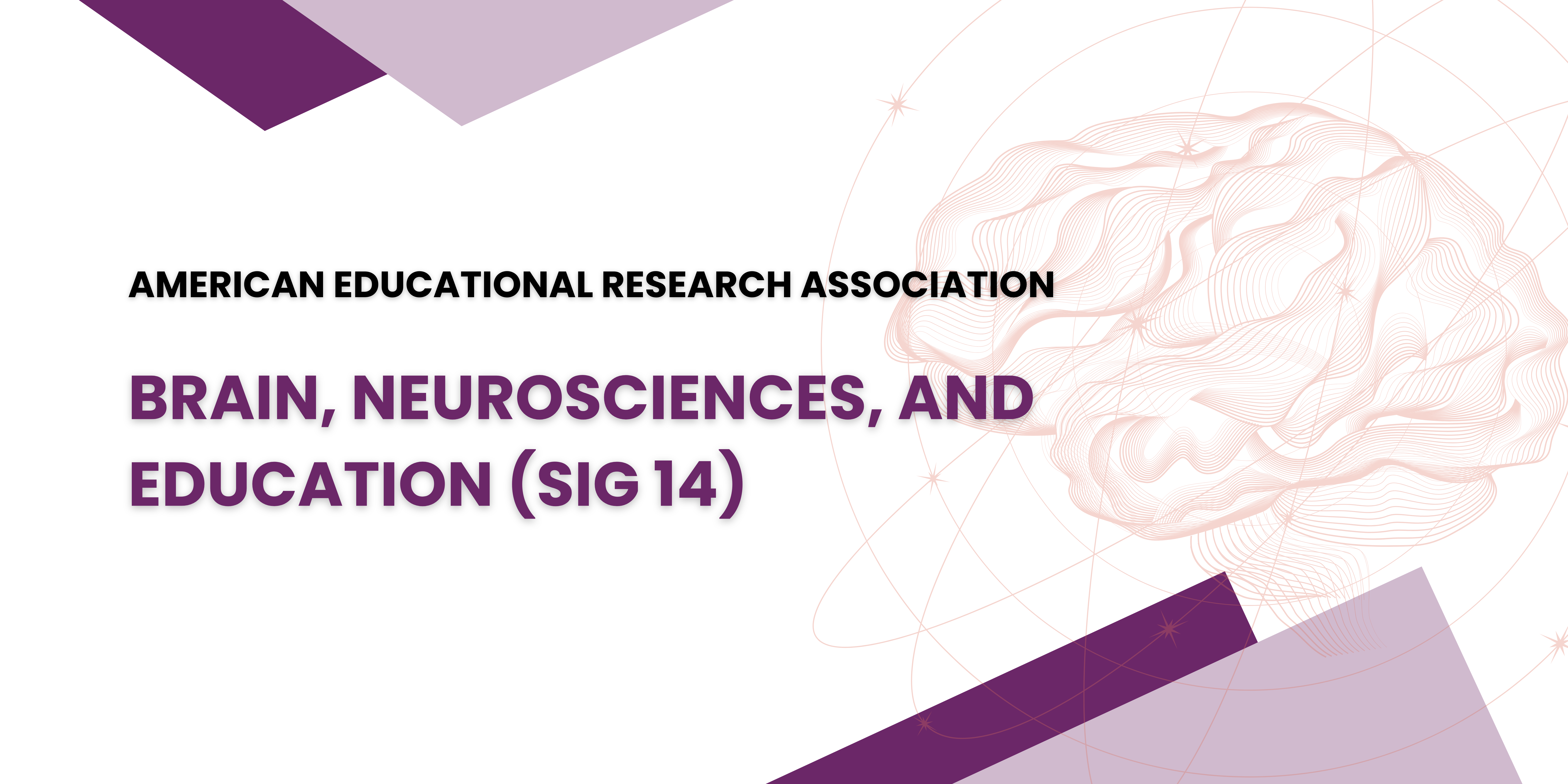 AERA Banner AERA Banner